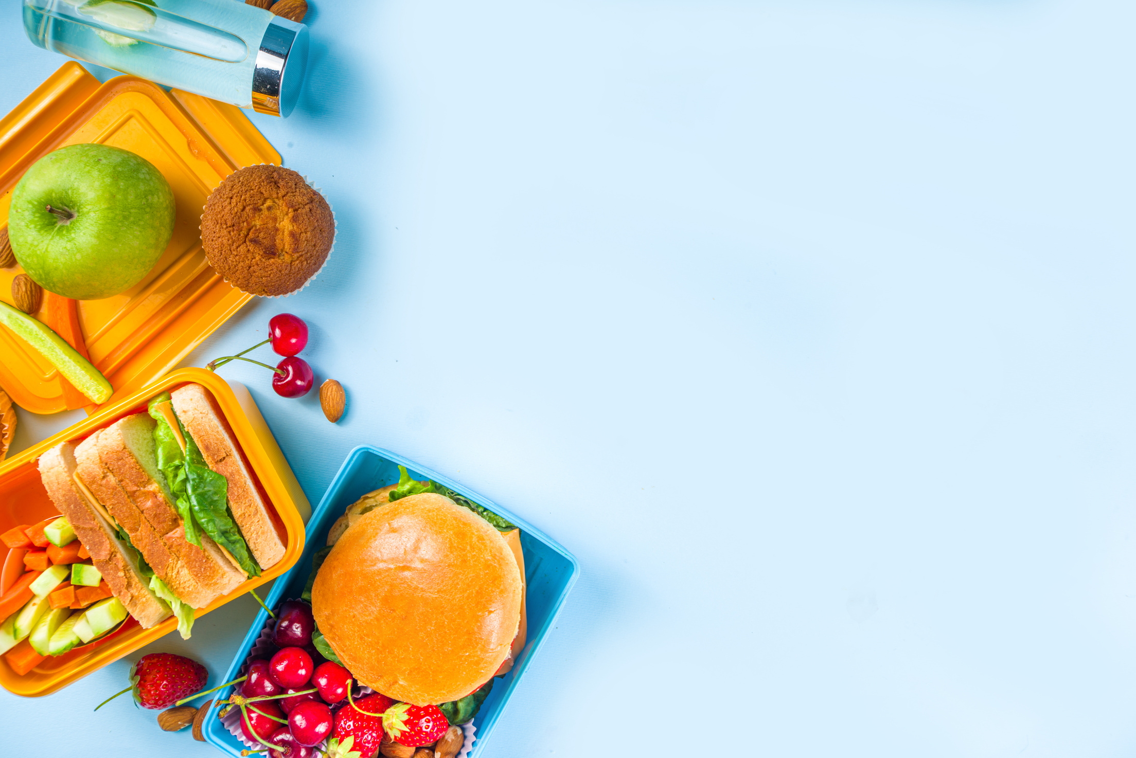 Healthy Tasty Kids School Lunch Box